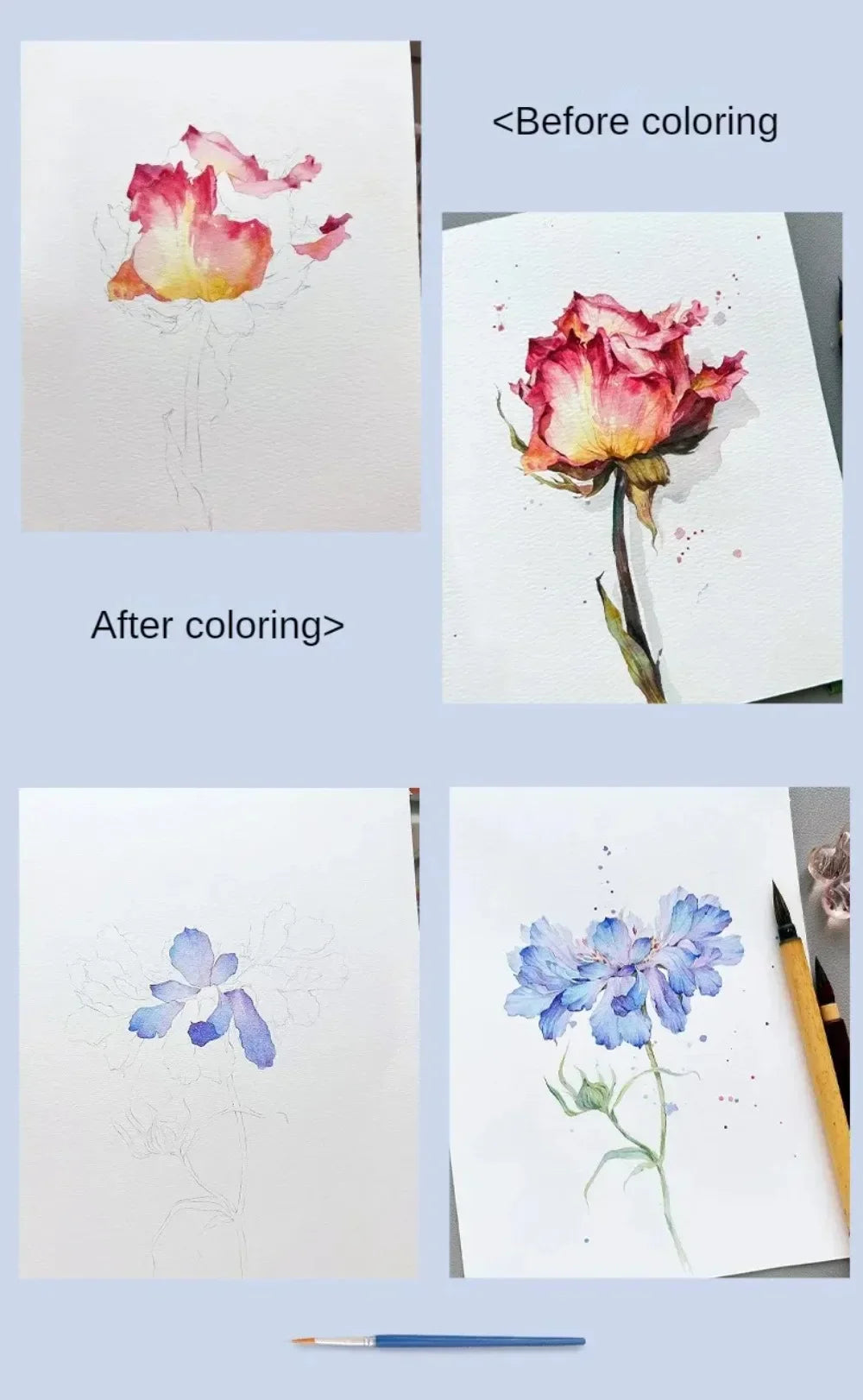 Watercolour Painting Book